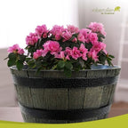 Headwind Whiskey Barrel Planter – 15 Inch Old Wood Barrel Planters for Outdoor Plants – Weather-Resistant Flower Pot with Wooden Finish – Decorative Indoor & Outdoor Garden Planter by Robert Allen - Image 4