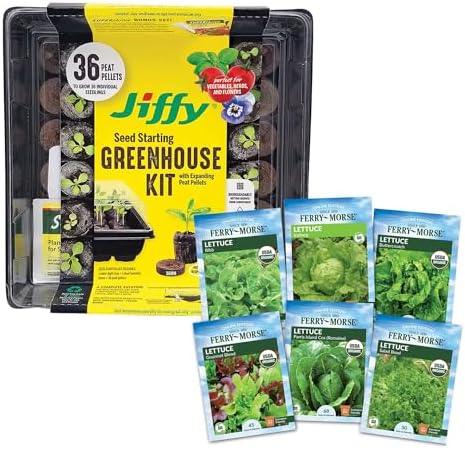 Jiffy Plant Germination Kit - Seedling Starter Trays with Seeds - 36 Cell 2 Pack - Plastic by Jiffy