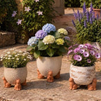 LemonRoad 12 Set Cat Pot Feet for Outdoor Planters, Terra Cotta Cement - Image 6