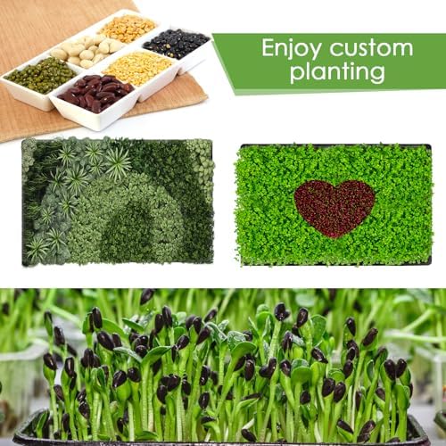 6 Pack Microgreens Growing Kit, Microgreens Trays for Indoor Gardening - Image 3