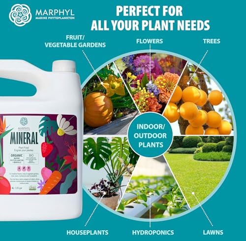 MARPHYL Organic Minerals Liquid Fertilizer – Essential Trace Mineral Blend for Healthy Plant Growth, Improves Nutrient Uptake for Garden Flowers, Vegetables, Succulents & Hydroponics - Image 6
