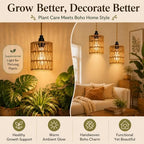 2 Pack Hanging Grow Lights for Indoor Plants Boho Rattan Plant Light - Image 4
