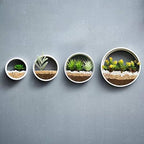 Pack of 4 Round Wall Planters Hanging Metal Plant Containers Circle Plant Holder Contemporary Morden Circle Iron Vase for Succulents or Herbs Cactus and More (White) - Image 3