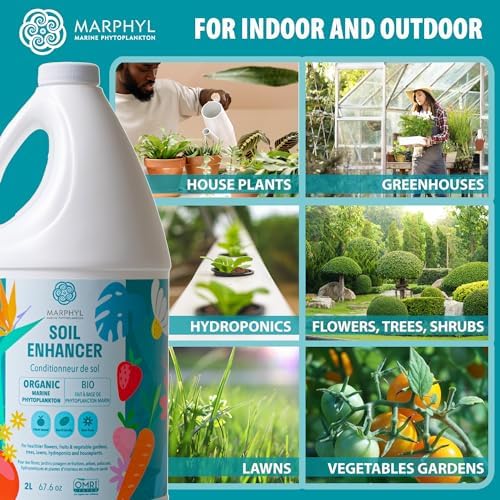 MARPHYL All-Purpose Plant Food – Organic Nutrient-Rich Fertilizer & Soil Enhancer for Indoor & Outdoor Flowers, Vegetables, Succulents, Bamboo & Hydroponics - Image 4