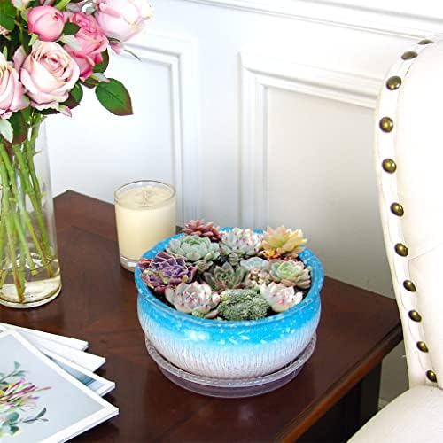 8 Inch Succulent Pot with Drainage and Saucer Glazed Terracotta Round Ceramic Succulent Planter Cactus Bonsai Plant Pot (Light Blue) - Image 5