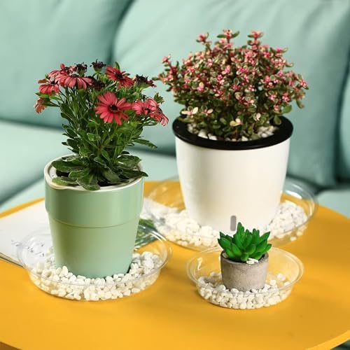 20 Packs 20 Inches Extra-Large Clear Plant Saucers for Indoor Outdoor Use Heavy Duty Plastic Plant Trays for Planter Bulk Flower Pot Drip Trays to Catch Water, 4 to 20 Inch - Image 6