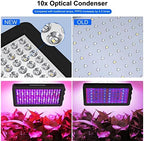 Upgraded BW1000 LED Grow Lights Double Chips Full Spectrum with 10ft Cable for Greenhouse and Indoor Plant Veg and Flower Growing [Black] - Image 5