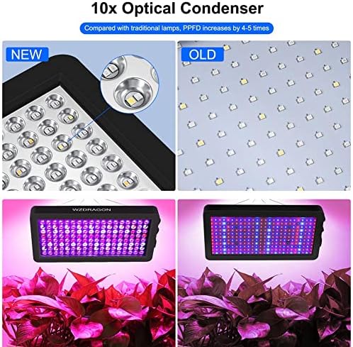 Upgraded BW1000 LED Grow Lights Double Chips Full Spectrum with 10ft Cable for Greenhouse and Indoor Plant Veg and Flower Growing [Black] - Image 5