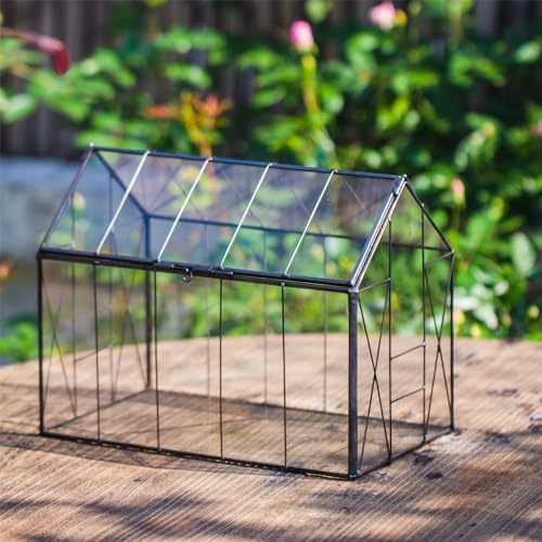 NCYP Glass Terrarium with Lid for Moss, Fern, Small Tropical Plants - Image 6
