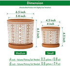 D'vine Dev Set of 2 Terracotta Pots, 4 Inch & 6 Inch, Planter Pots for Plants with Drainage Holes and Saucers, Terracotta/White, Small, 31-958-A-1 - Image 3