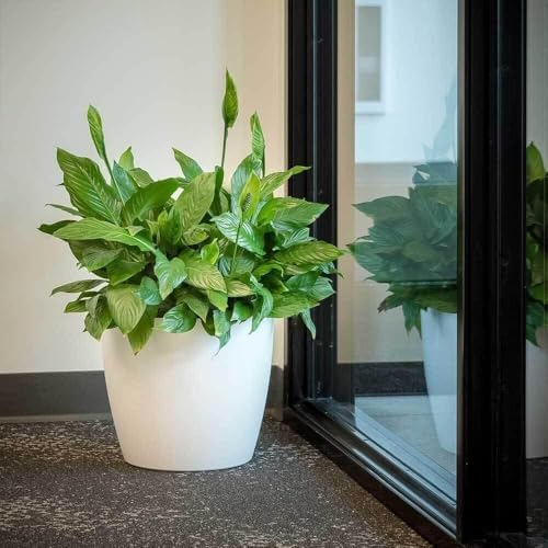 Memphis 18" Round Indoor Floor Planter Pot – Lightweight & Durable Plastic, Modern Design, Made in USA, Recyclable Large Plant Container for Home & Office Décor (Espresso Meta - Image 2