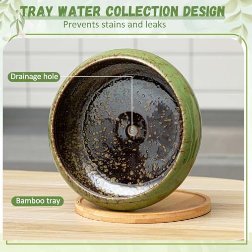 2 Pcs 7.3'' Shallow Succulent Planters Pots, Green - Image 3