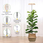 LORDEM Bamboo Grow Light for Indoor Plants, 2 Pack - Image 3