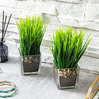 MyGift Set of 2 Artificial Grass Plants in Square Glass Pots with Pebbles - Image 4
