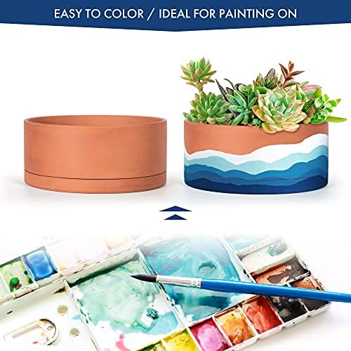 D'vine Dev Terracotta Shallow Planter Pot with Saucer, 10 in, 40-Y-B-0 - Image 6