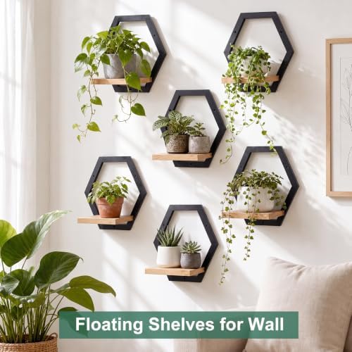 Novabright 6 Pcs Solid Wood Wall Plant Holder Shelf Indoor, Black - Image 2