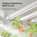 Maygrove Grow Lights for Indoor Plants, Tunable Spectrum 1FT LED Growing Lamp 28W (4 x 7W), T5 Grow Light Strip for Seed Starting, Vegetables, Linkable, White, 4-Pack - Image 6
