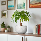 Ceramic Plant Pot, 8 Inch Round Planter with Drainage, White - Image 6