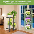iDavosic.ly 5 Tier Indoor Plant Stand with Grow Light, 11 Inch Tray, Black - Image 4