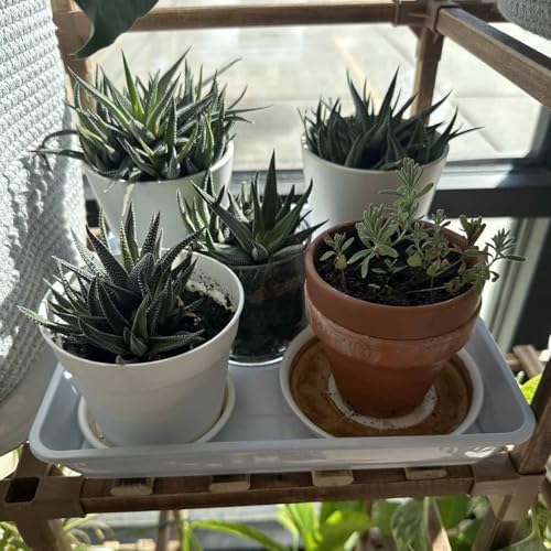 JOIKIT 10 PCS 11.4 x 11.4 Inch Square Plant Saucer, 1.6 Inch Deep Plastic Square Planter Base Bottom Pot Trays, Drip Plates for Plant Pot IndoorsOutdoor, White - Image 5