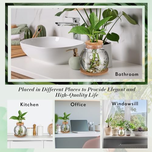 Baderke 12 Packs Propagation Vases for Plants Plastic Plant Propagation Station with Hole Lid and Cork Coasters Plant Growing in Water Hydroponic Home Office Table Decoration(Fish Bowl Style) - Image 6