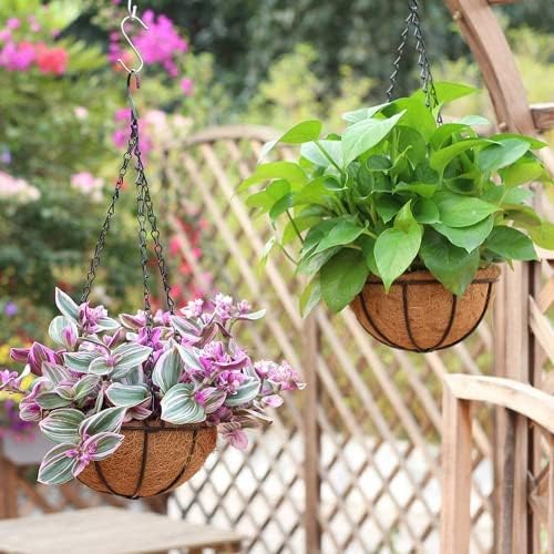Wizdar Metal Hanging Planters Basket, 5PCS, 12 Inch Round - Image 7