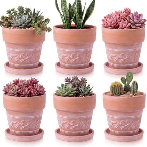 Maxdot Set of 6 Embossed Succulent Pots 4" Small Terracotta Pot, Leaf Style by Maxdot