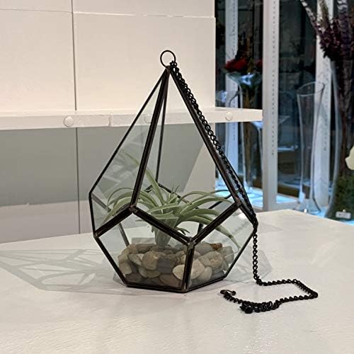 WGV Hanging Geometric Planter Terrarium Width 6.5" Height 8.75" Clear Glass Black Frame DIY Succulent air Plant Miniature Fairy Garden Windowsill Decor Teardrop 1 Piece - Image 6