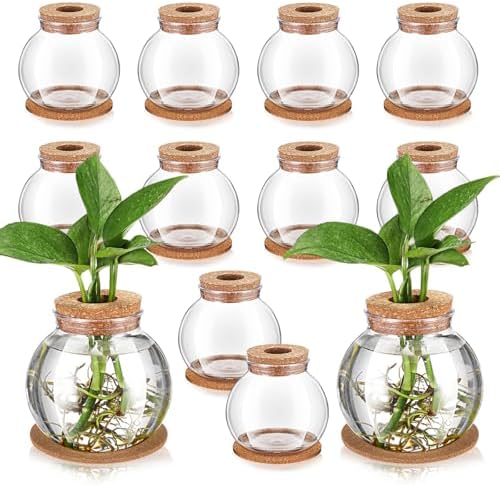Baderke 12 Packs Propagation Vases for Plants Plastic Plant Propagation Station with Hole Lid and Cork Coasters Plant Growing in Water Hydroponic Home Office Table Decoration(Fish Bowl Style) by Baderke