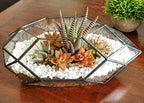 Ferrisland Handmade Glass Home Geometric Glass Succulent Flowerpot - Image 6