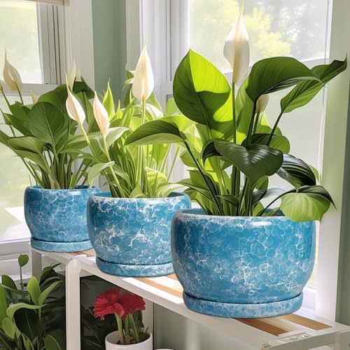 SQOWL Ceramic Pots for Plants - 8 Inch Ceramic Planter for Indoor Outdoor, Decorative Flower Pot with Drainage Hole and Saucer, Round Planter, Home Living Room Bathroom Decor, Plant Lover Gifts, Blue - Image 6