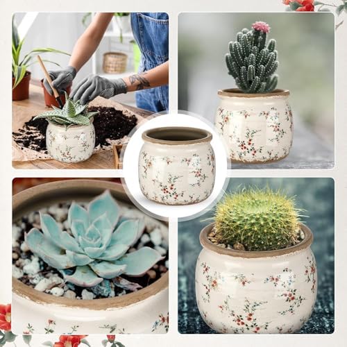 2 Pcs Vintage Planter Ceramic Plants Pot with Drainage Ice Crack Scroll Flower Vase Pot for Indoor Outdoor Plants Home Kitchen Decor Gifts(Rustic Rose,5.9") - Image 6