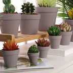 Yishang 2 inch Grey Small Terracotta Pots with Drainage Holes,Mini Clay Ceramic Pottery Planter,Cactus Flower Nursery Terra Cotta Pots, for Indoor/Outdoor Succulent Plants, Crafts(80 Pack) - Image 4