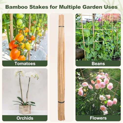 Natural Bamboo Poles, Approx. 57 in / 5 ft, 5/8" Diameter Bamboo Sticks for Plants, Wood Garden Stakes for Tomatoes, Beans, Flowers, Potted Trees and Climbing Plants, 40 Pack - Image 7
