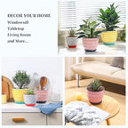Selamica Ceramic Plant Pots, 4.6+5.6+6.5 Inch Planters with Drainage Holes & Saucer, Flower Pots for Indoor Plants, Home Decor, Set of 3, Assorted Colors - Image 5