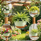 12" Self Watering Hanging Planters with Chains, Green Brown，2 Pack - Image 6