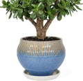 10.6 Inch Modern Ceramic Plant Pot with Drainage Hole and Mesh Net, Indoor Outdoor Planter with Saucer & Gardening Glove, Pots for Succulents, Flowers, Large Plants, Blue by Unknown