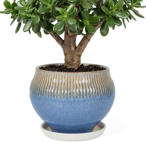 10.6 Inch Modern Ceramic Plant Pot with Drainage Hole and Mesh Net, Indoor Outdoor Planter with Saucer & Gardening Glove, Pots for Succulents, Flowers, Large Plants, Blue by Unknown