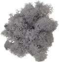 500g Artificial Moss for Crafts, Faux Decorative Plant for DIY Walls Wedding Party Table Centerpieces Home, Light Gray by LKXHarleya