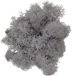 500g Artificial Moss for Crafts, Faux Decorative Plant for DIY Walls Wedding Party Table Centerpieces Home, Light Gray by LKXHarleya