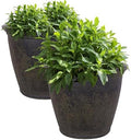 Sunnydaze Anjelica 24'' Large Plastic Planter Pot for Plants, Sable, 2pk by SunnydazeDecor