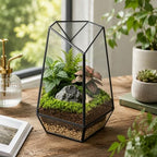 Ferrisland Glass Geometric Plant Terrarium, Clear Glass Succulent - Image 4