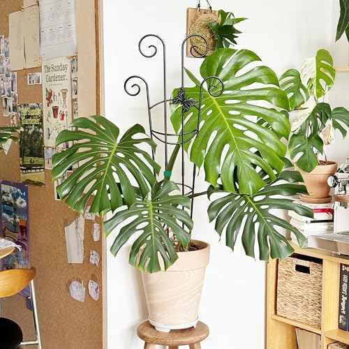 Coomin 32.6in Monstera Plant Support Trellis with One Butterfly, 4P - Image 7