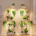 BACEKOLL Plant Stand Indoor with Grow Lights, 6 Tiered Tall Plant Shelf, 63" Metal Plant Stand for Indoor Plants Multiple, Half-Moon Plant Rack Display Shelf, 2 Pcs Plant Holder for Living Room (Faux Marble White + Gold) by BACEKOLL