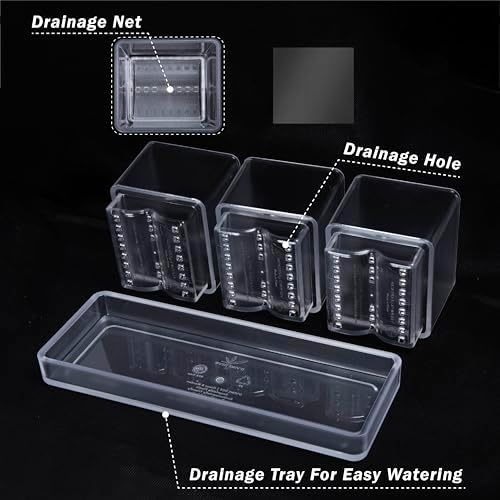D'vine Dev 2-Pack Acrylic Herb Garden Planter Set, Clear, 76-V-D-2 - Image 5