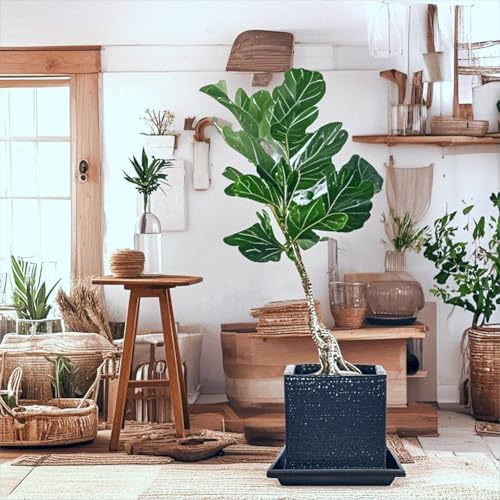 Square Plant Saucer 18 Inch 5 Pack, Planter Trays for Flower Pots, Plant Water Catcher Drip Dishes, Plastic Bottom Watering Plates Indoors and Outdoors - White - Image 4