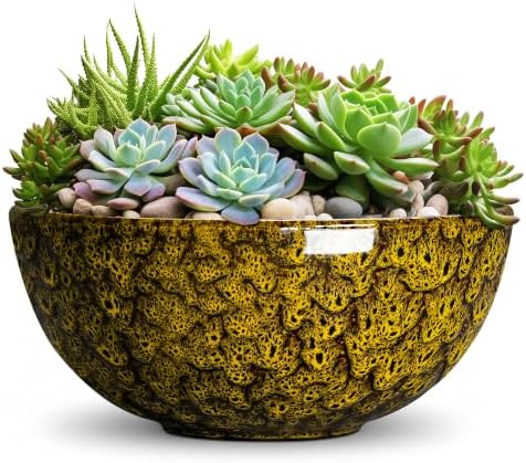 Succulent Pots, 10 Inch Ceramic Bonsai Pots, Yellow Leopard by Unknown