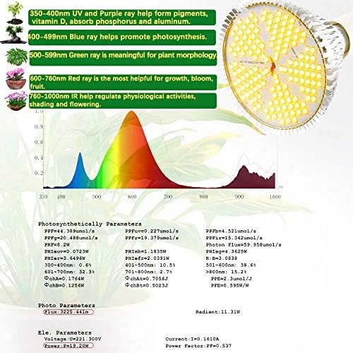 MILYN 2 Pack 100W Led Grow Light Bulb, Pure Warm Full Spectrum Grow Lights for Indoor Plants, E26 Grow Bulb for House Garden Hydroponics Succulent Seed Starting, Growing, Flower| 150LEDs Lamp - Image 5