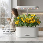 Nouri Hydroponics Growing System, 5 pod Smart Indoor Herb Garden Kit with LED Grow Lights, Hydroponic Herb Garden Indoor for Plant Lovers, Gardeners, Kitchen, Tomato Seeds Included - Image 7