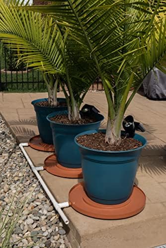 Drain Away Terra Cotta 15.5 Inch Plant Saucer Heavy Duty Drain Tray for Large Pots Indoor Outdoor Waterproof UV Resistant | Protect Floors Decks | 12in 15in 22in | White Gray Terra Cotta Black - Image 5